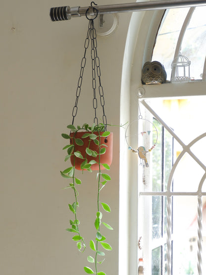 Prakrti garden boutique sells hanging terracotta pots for small indoor plants and shipped all India