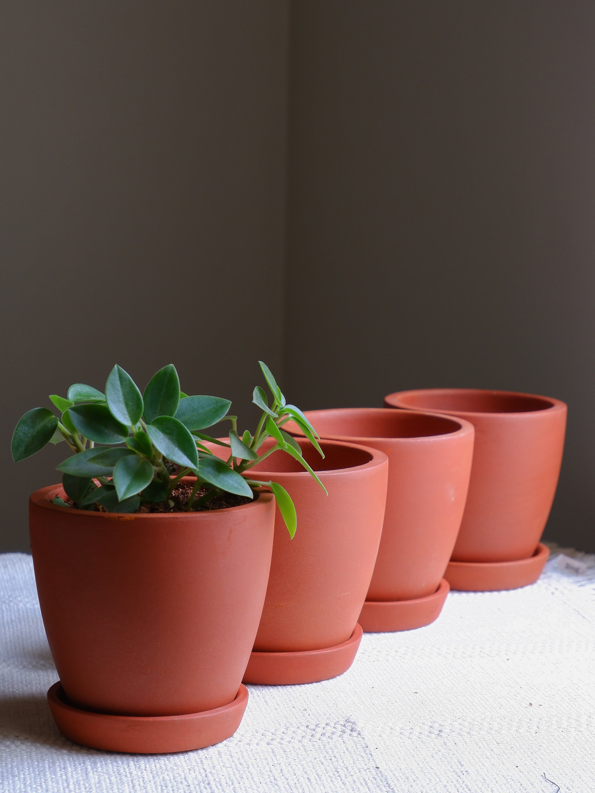 Premium quality Terracotta Clay Pots planters for small tabletop indoor plants, delivered All India