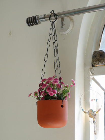 Prakrti garden boutique sells hanging terracotta pots for small indoor plants and shipped all India