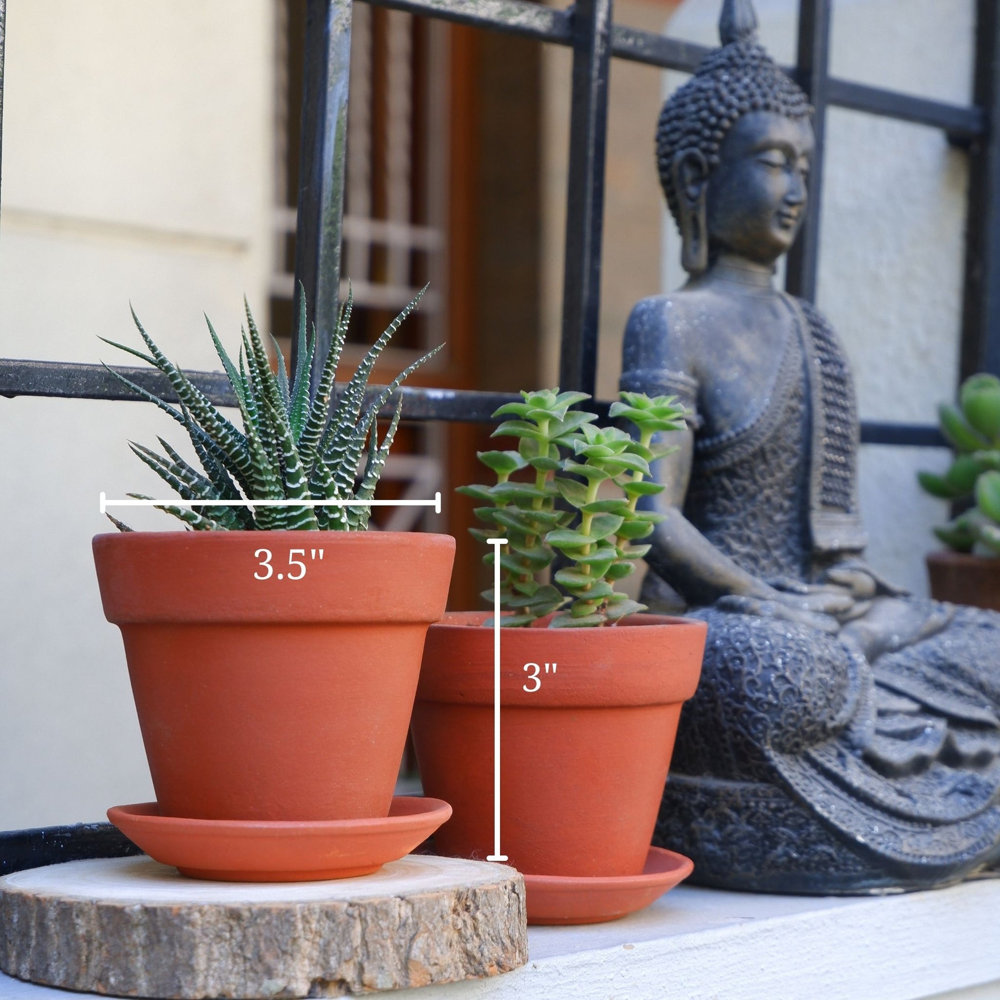 succulent terracotta Birch Terracotta Planter Set of 3
