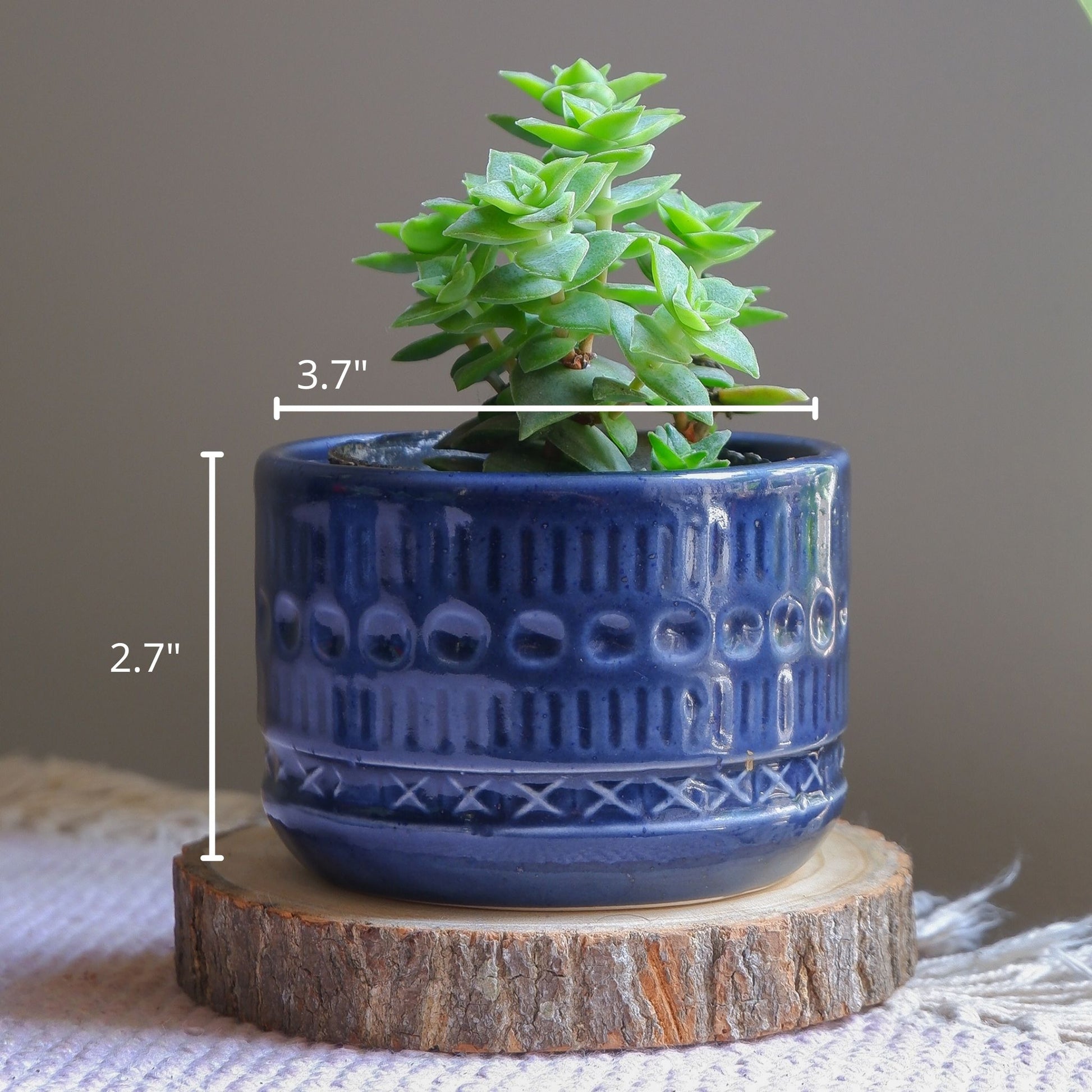Shop our Deep blue ceramic planter set for your succulents and small indoor plants. Delivered all India