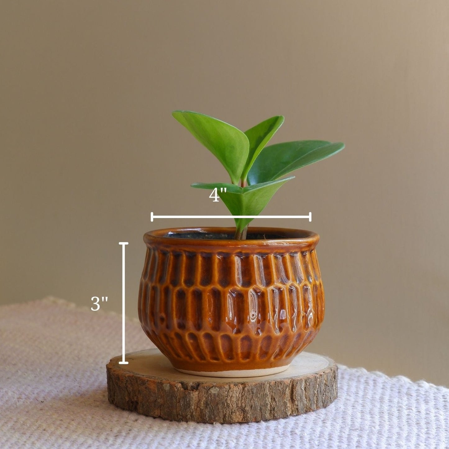 small ceramic succulent planters with brown glaze for succulents. delivered all India