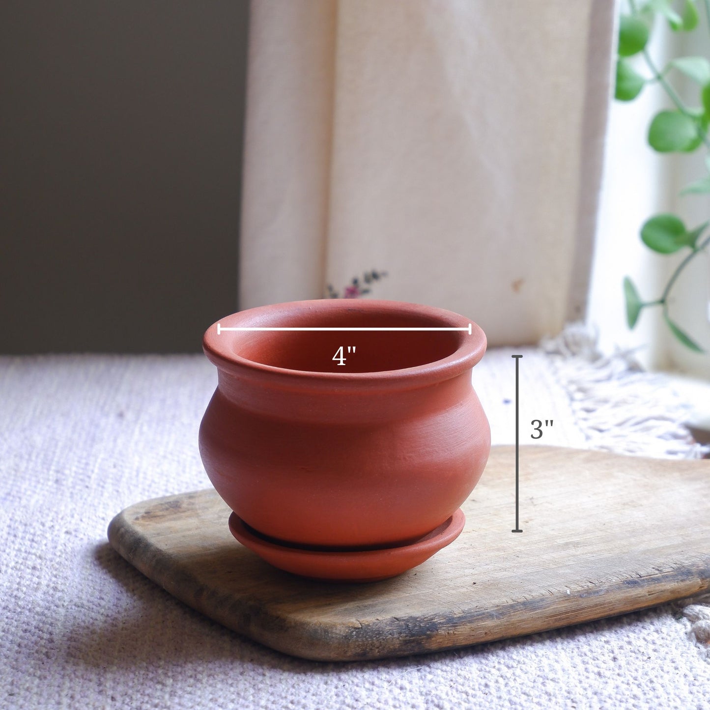 Small succulent terracotta pots delivered all India