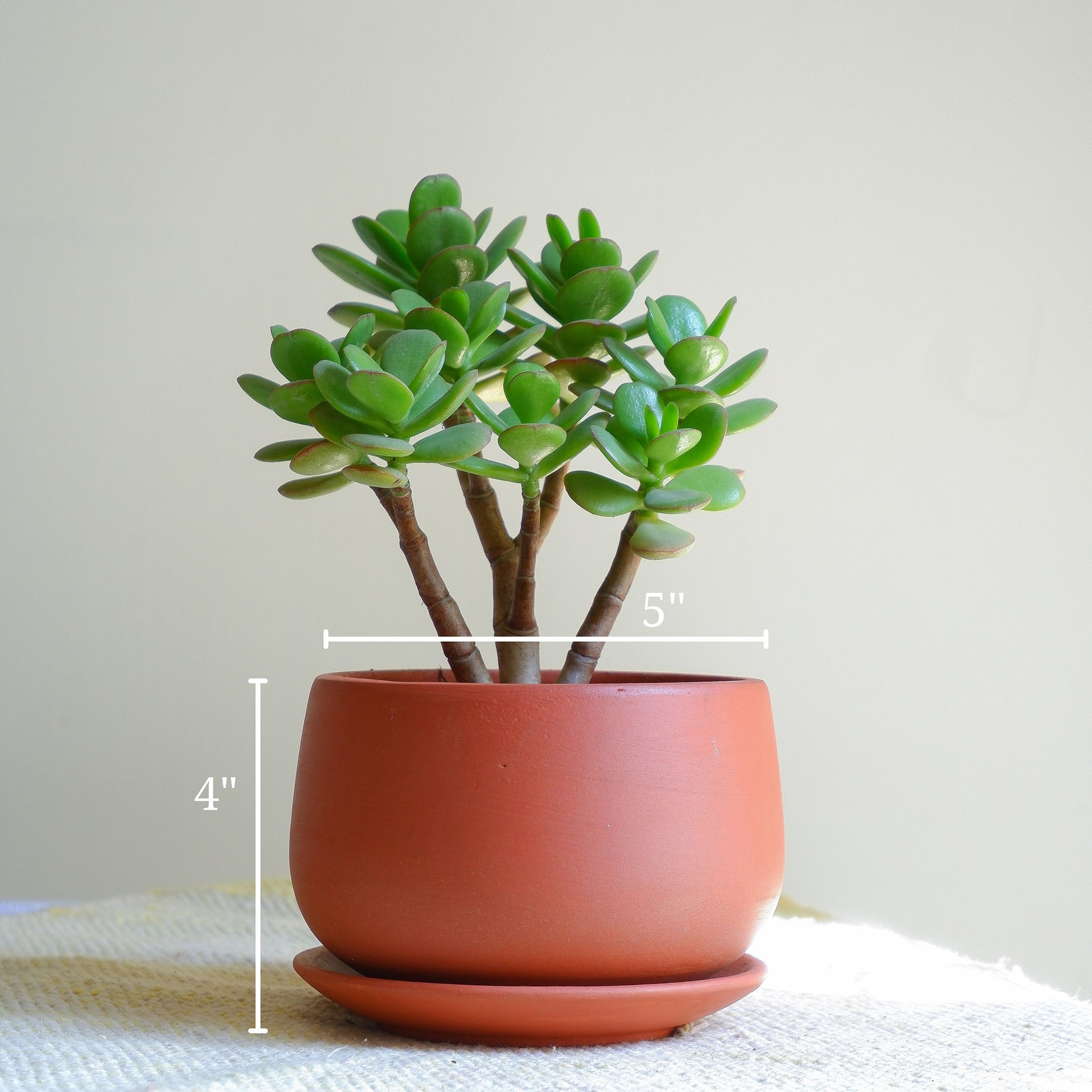 Tabletop Terracotta Clay Pots planters for small indoor plants, delivered All India