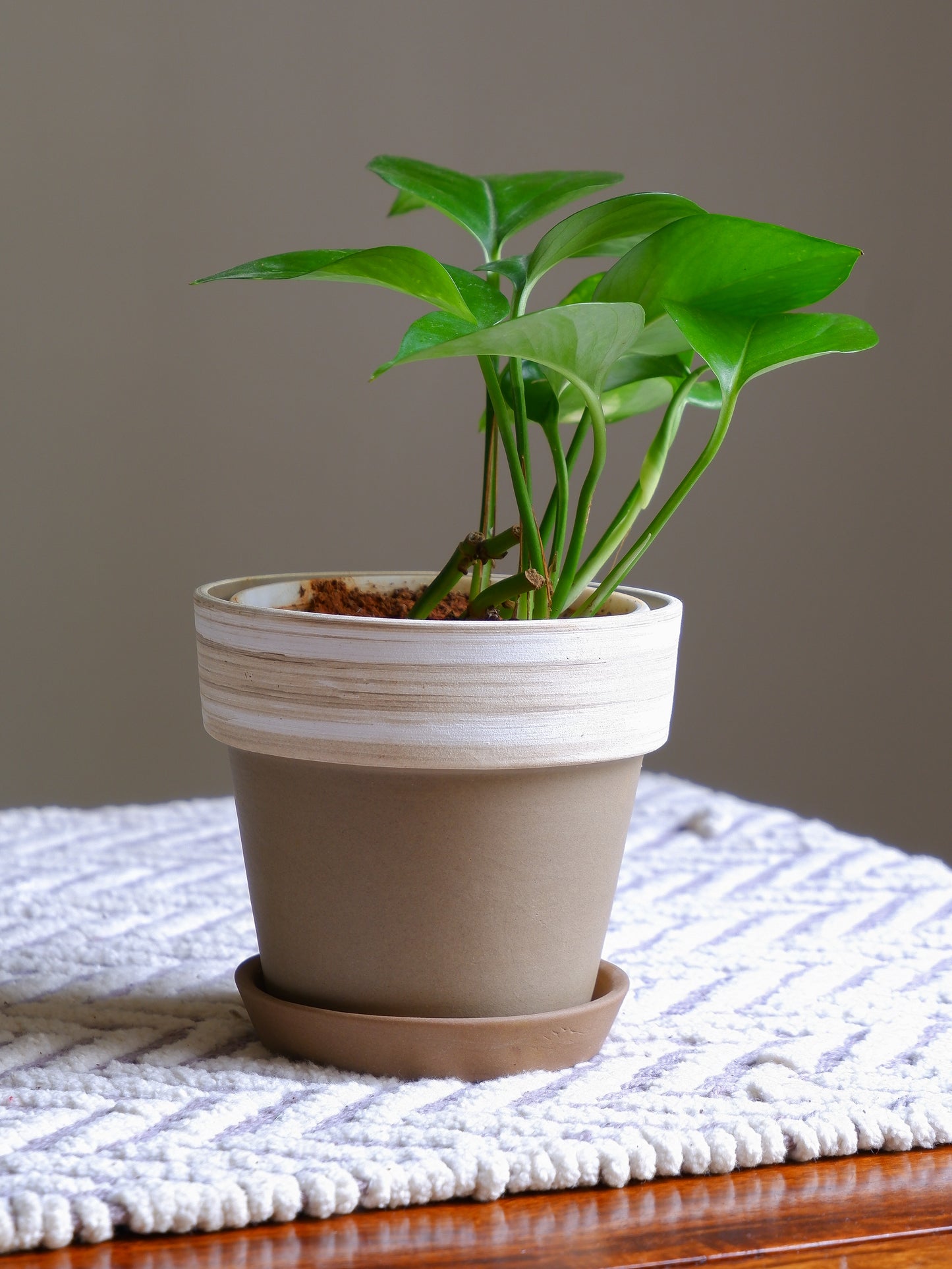 Mocha Ceramic Planter 4.5"- Seconds Sale