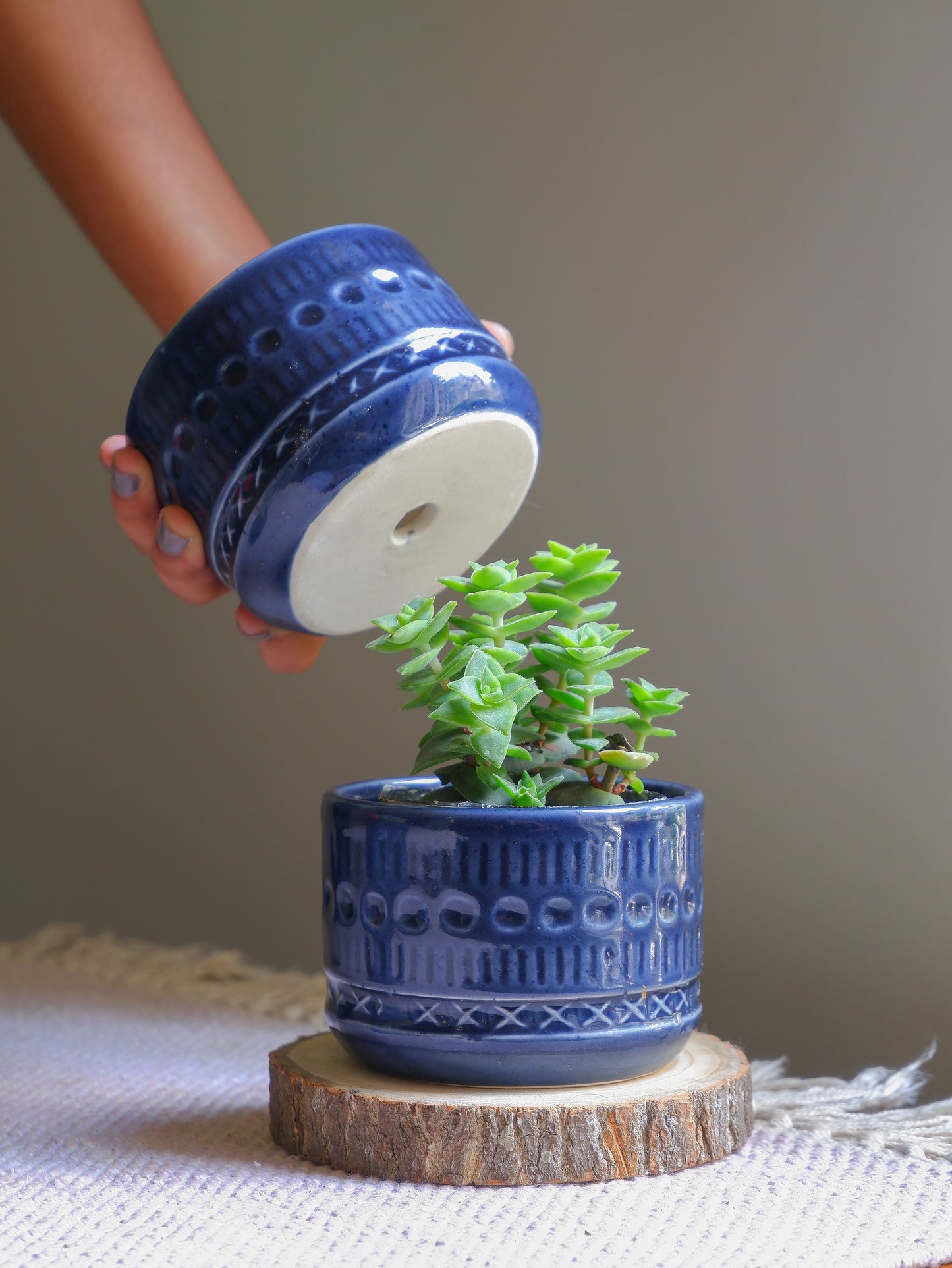 Deep blue ceramic planter set for your succulents and small indoor plants.