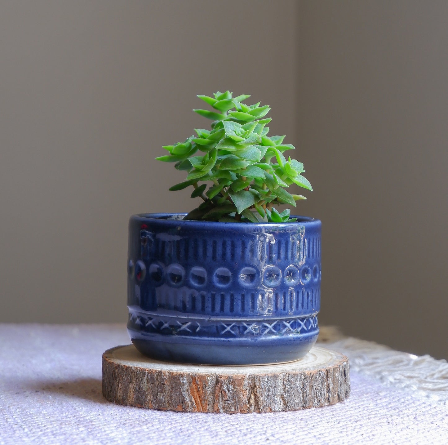 Shop our Deep blue ceramic planter set for your succulents and small indoor plants. Delivered all India