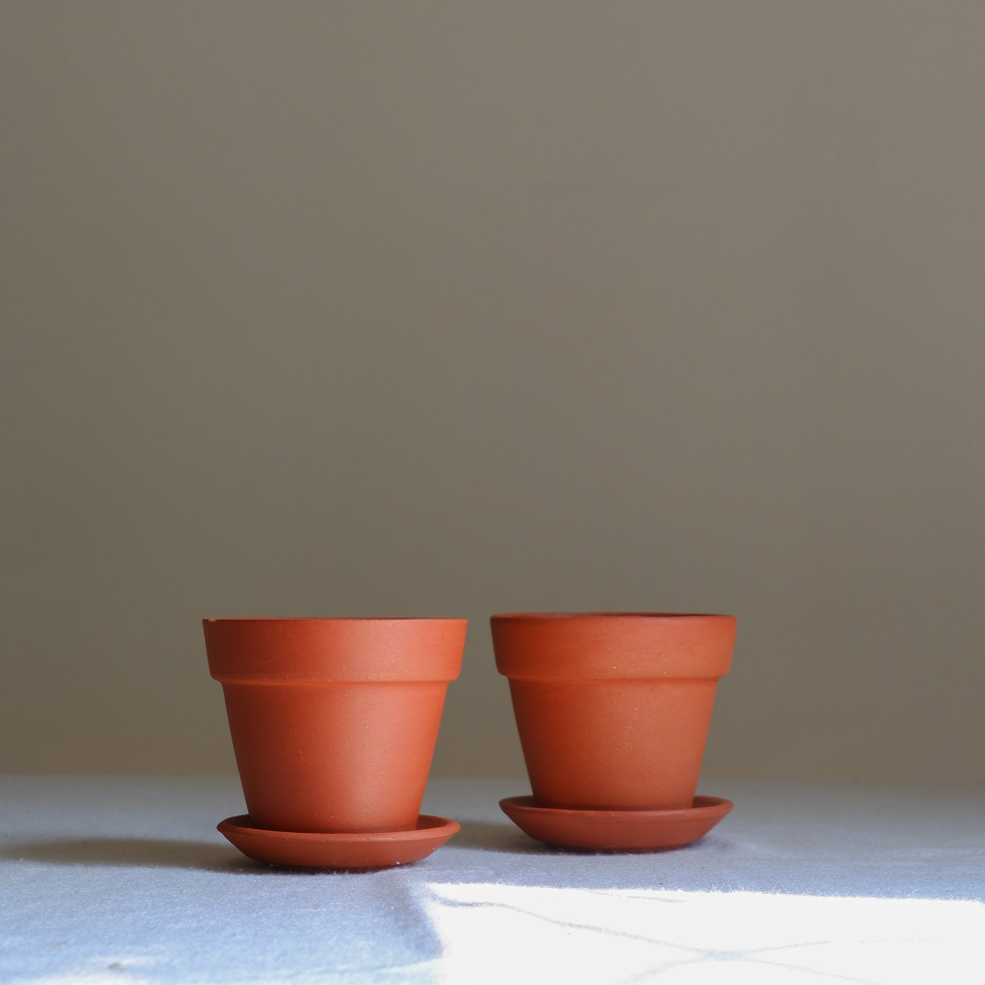 small succulent terracotta pots delivered online all India