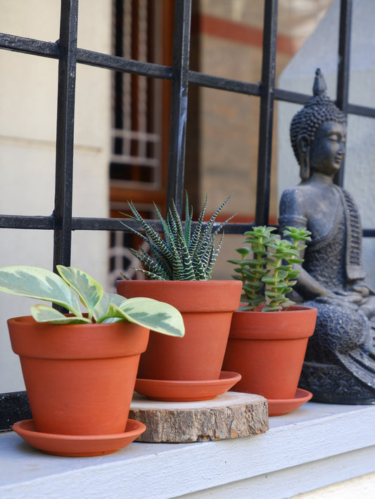 Birch terracotta planter set of 3 with saucers for indoor plantsIndia
